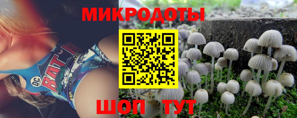 купить наркотик  Псилоцибиновые грибы мухоморы  Вход с VPN  Елабуга 